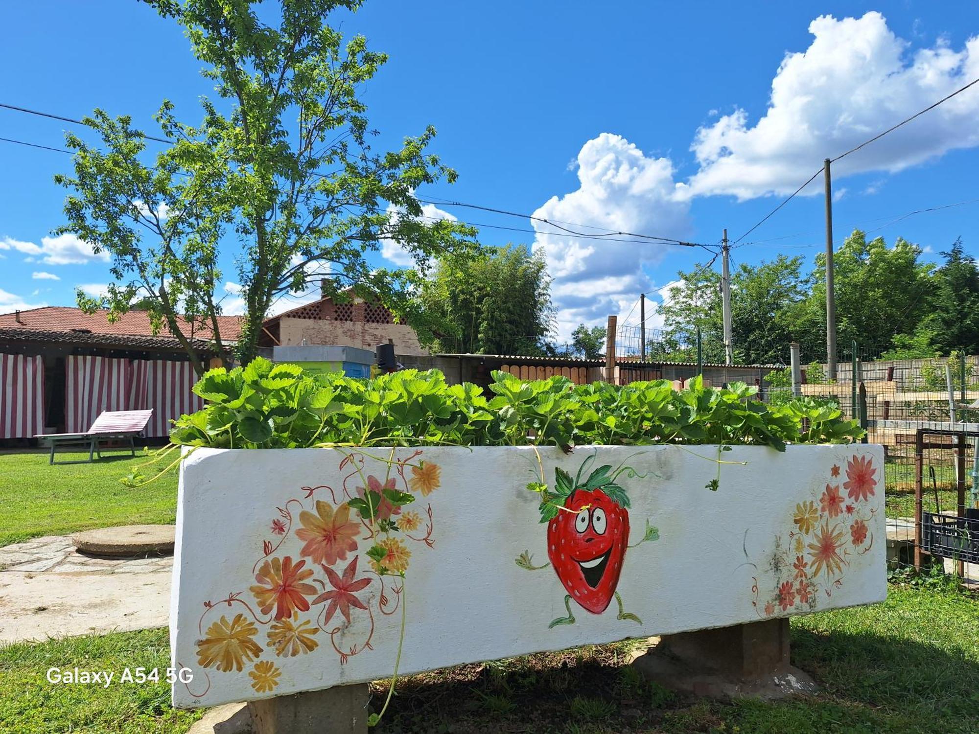 Willa Casa Matilde Leinì Zewnętrze zdjęcie