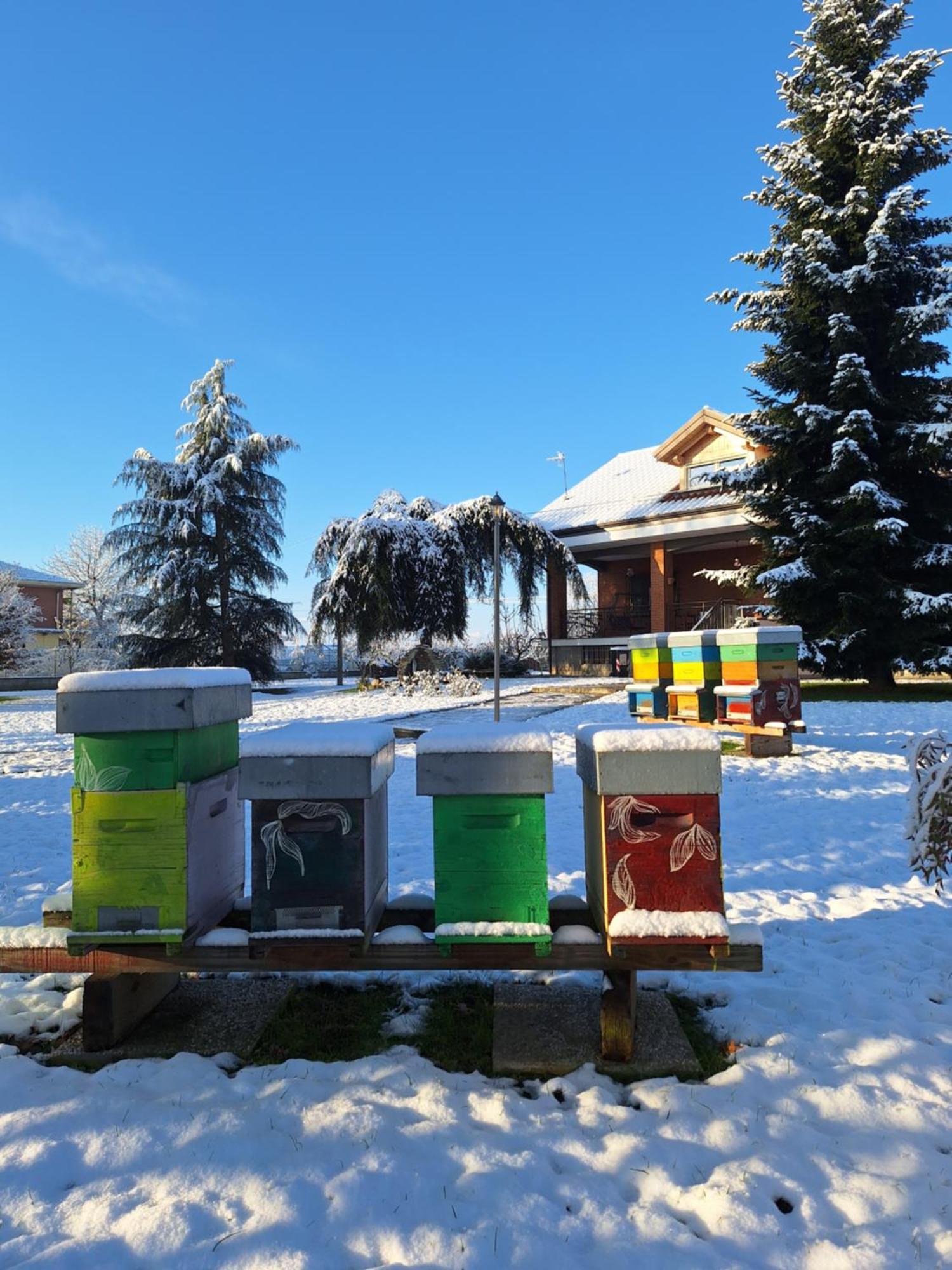 Willa Casa Matilde Leinì Zewnętrze zdjęcie